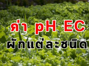 ค่า pH และ EC ของผักแต่ละชนิด